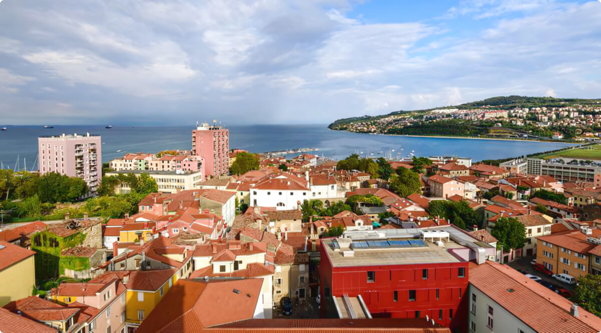 Quais são as escolhas de veículos mais populares em Koper?